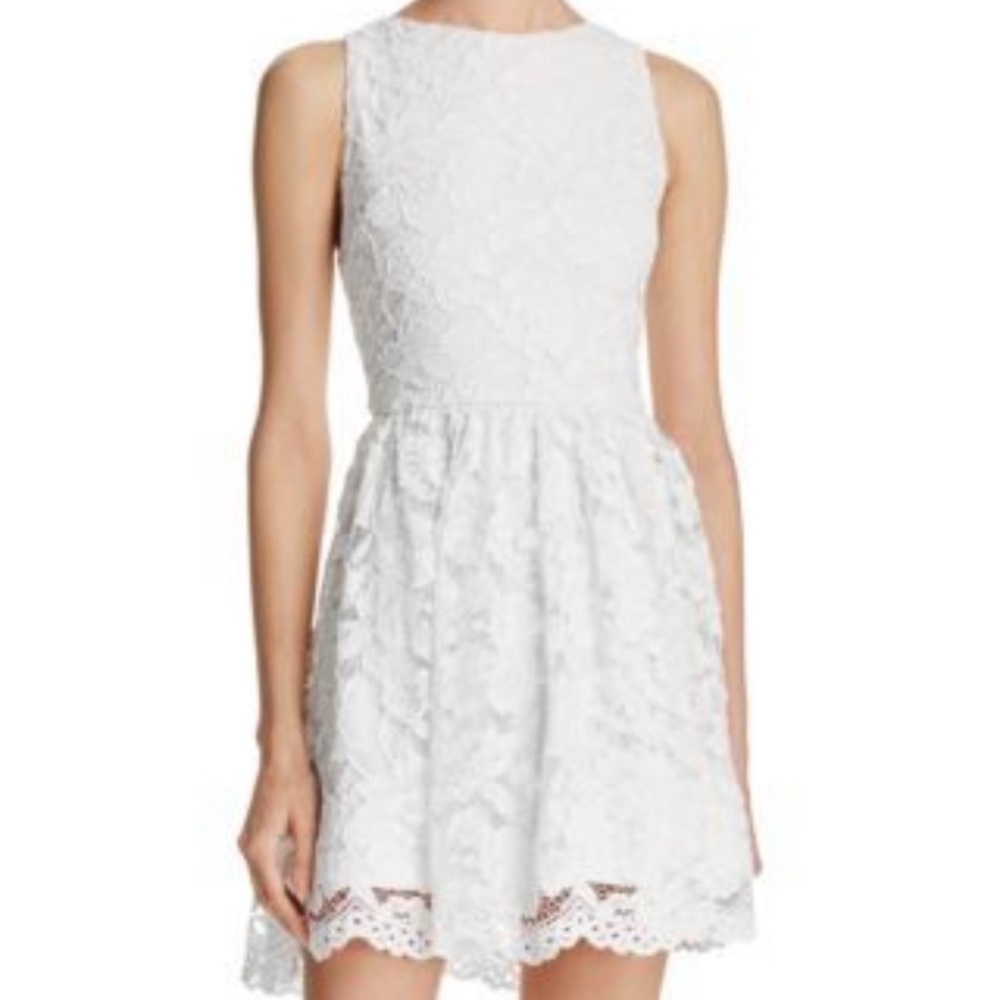 Alice and Olivia Ginger Lace Skater Dress